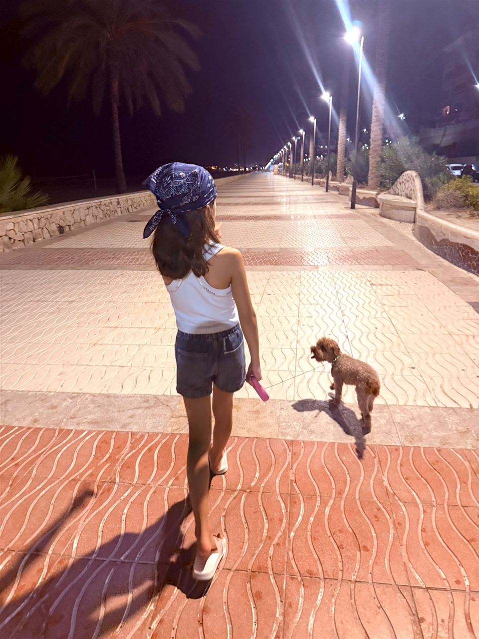 Joy, cățelușa noastră, pe faleza din Alicante